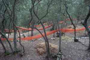 Xtrallusion photo library of independent, self-guided walking and sightseeing holidays in Italy. Pictures, images, photos and photographs taken along the way of this 1-day walking itinerary, to give you a visual impression of the day's walk.